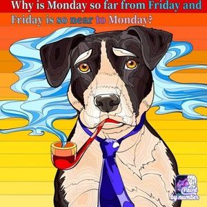 Meet your Posher, Ricardo